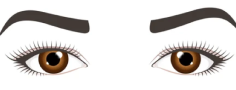Hooded Eye